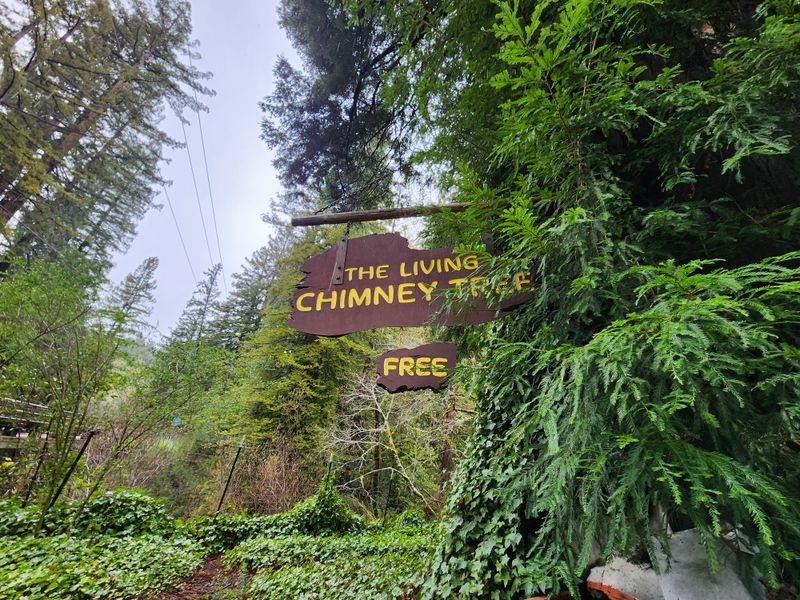 Chimney Tree