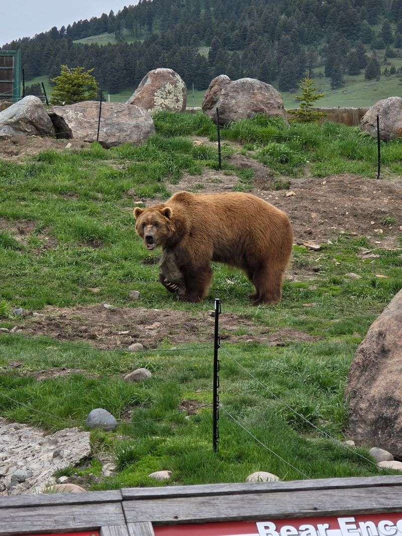 Accessible Visits: An Inclusive Experience