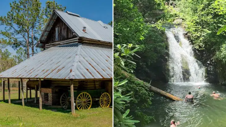 I Asked Georgia Locals for Their Favorite Hidden Spots and These 11 Came Up Most