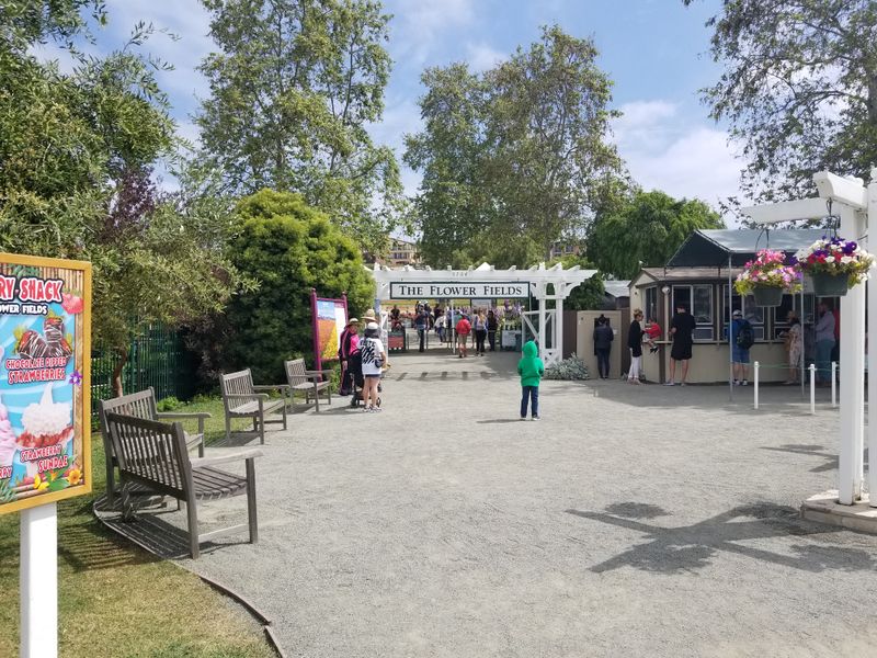 Marketplace, nursery, and take-home blooms