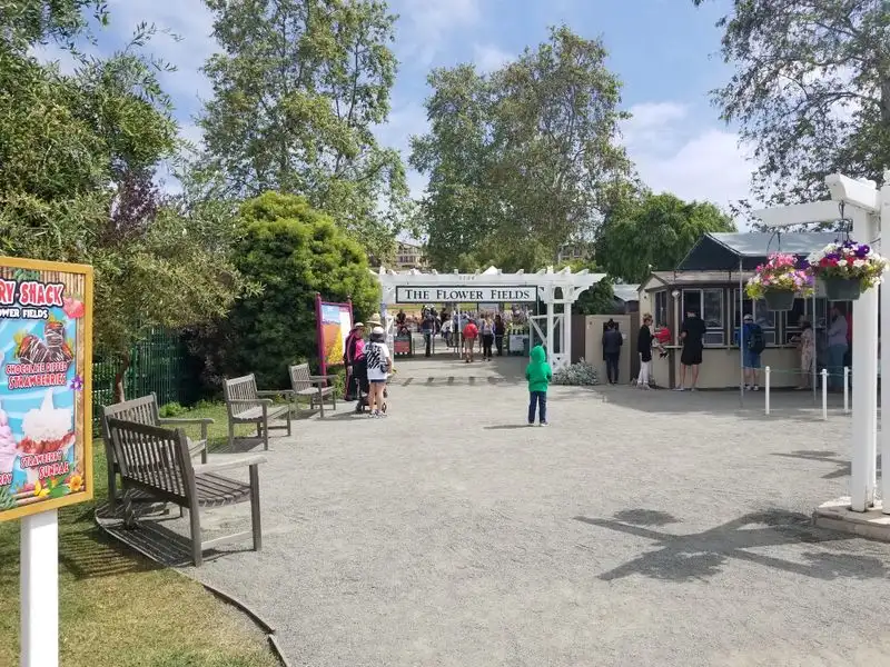 Marketplace, nursery, and take-home blooms