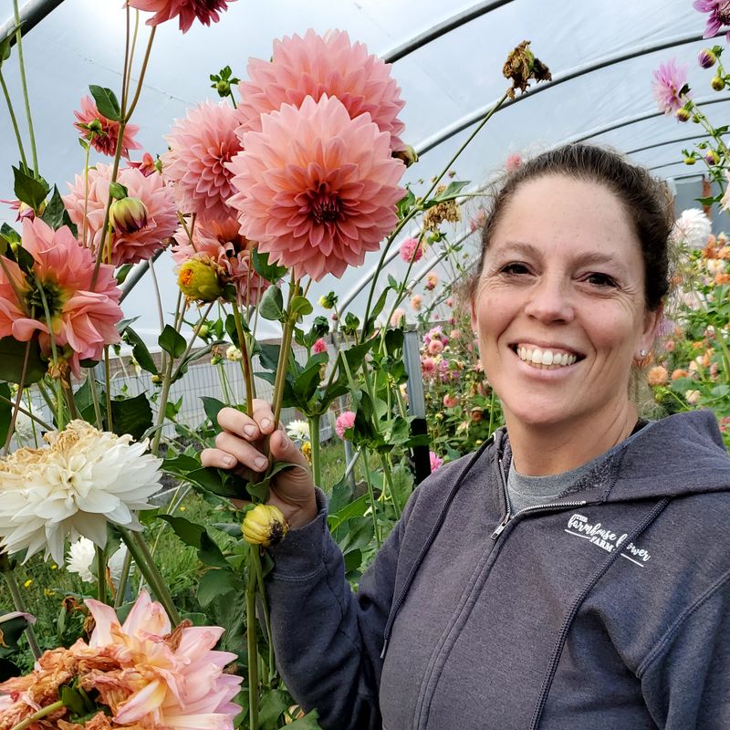 Stanwood Flower Farm (Stanwood)