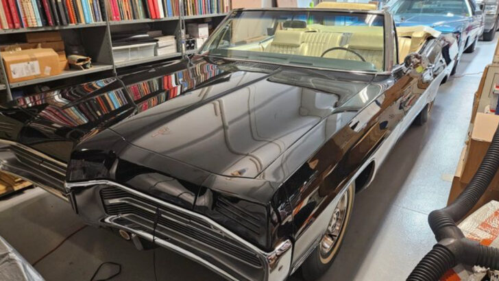 If You Love Vintage Cars, This Florida Museum Belongs on Your Bucket List