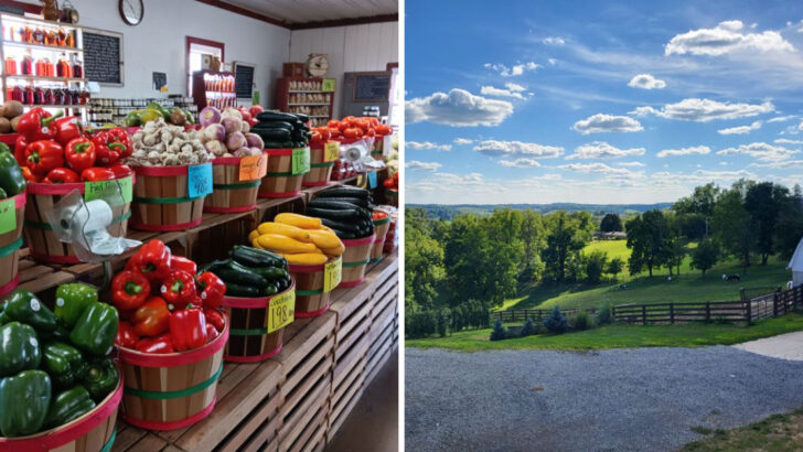 If You&rsquo;re Exploring Ohio&rsquo;s Amish Country, This Orchard Should Be On Your List
