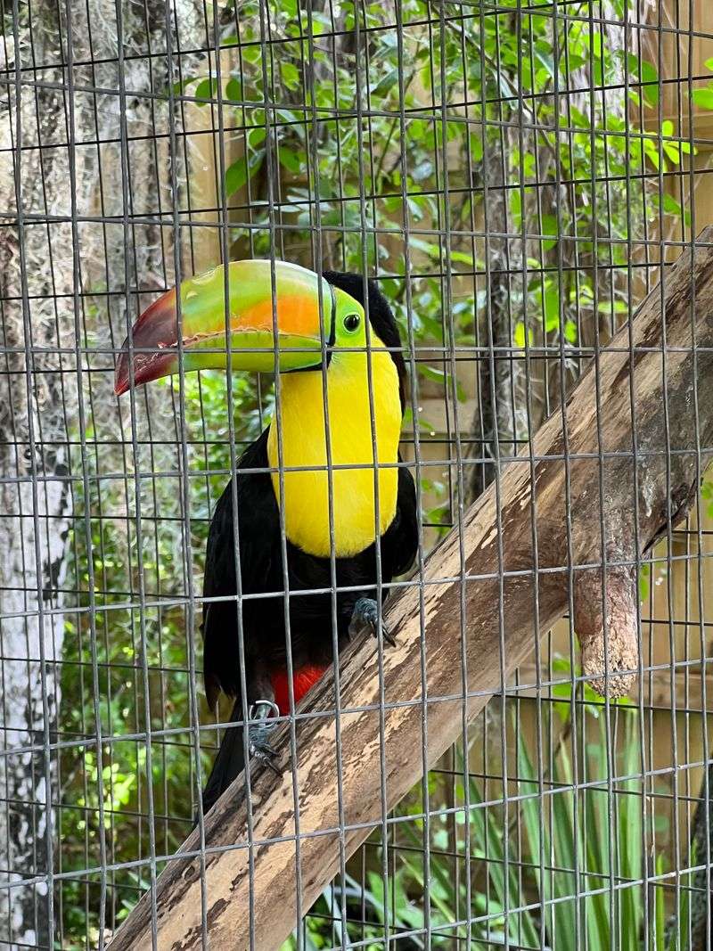 Supporting a Worthwhile Mission