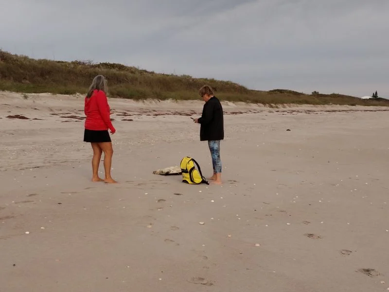 Volunteer Opportunities