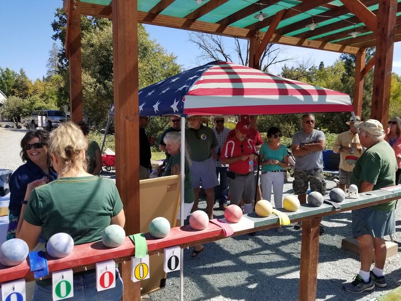 Community Events and Festivals That Bring Everyone Together