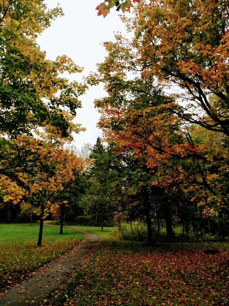 Jay Cooke State Park
