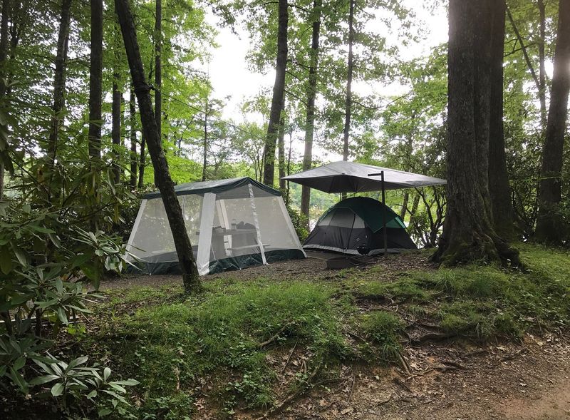 Blue Ridge Parkway Area Campgrounds