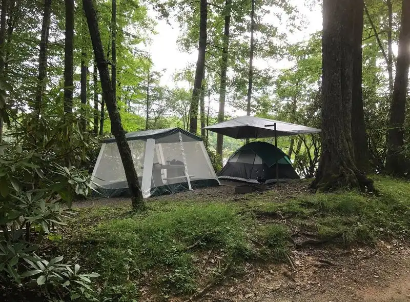 Blue Ridge Parkway Area Campgrounds