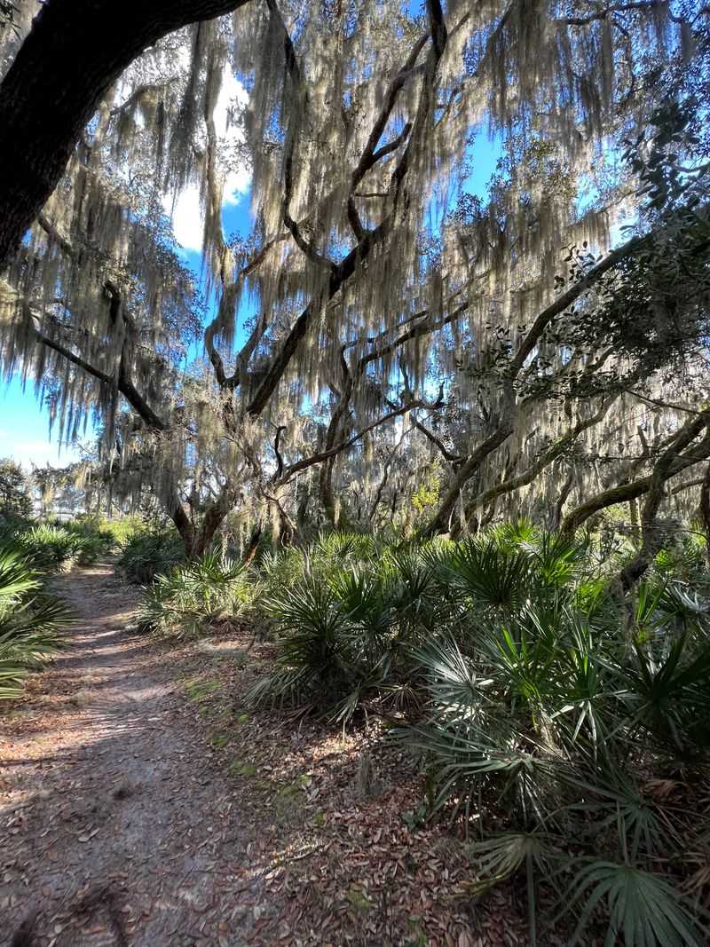 Florida Trail