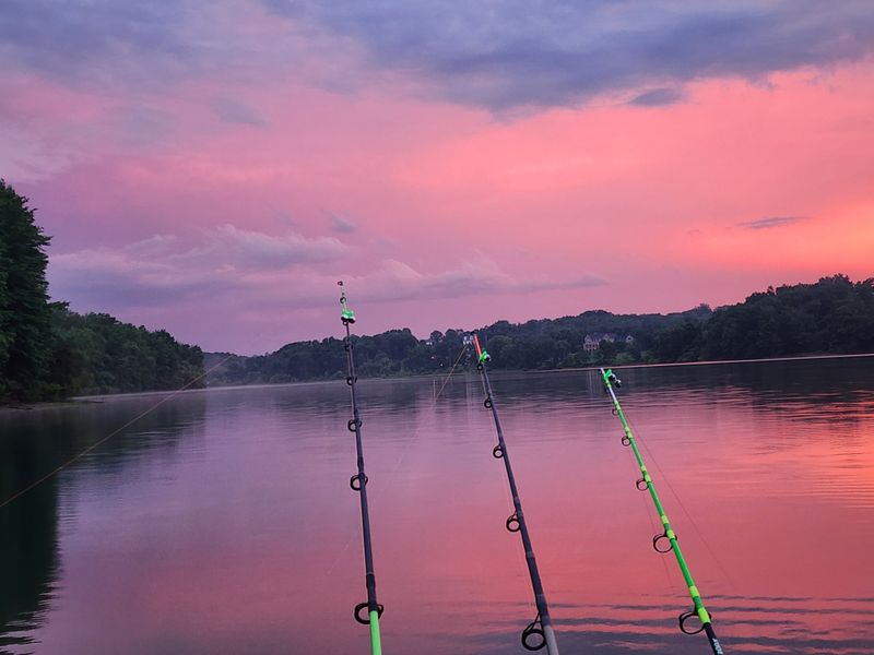 Fishing Hotspots and Seasonal Strategies