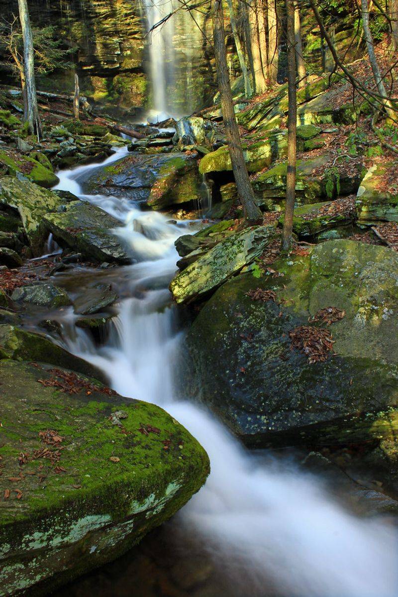 Jacoby Falls