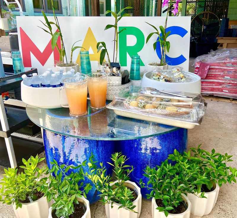 Key Lime Baking Workshops and Demonstrations (Key West)