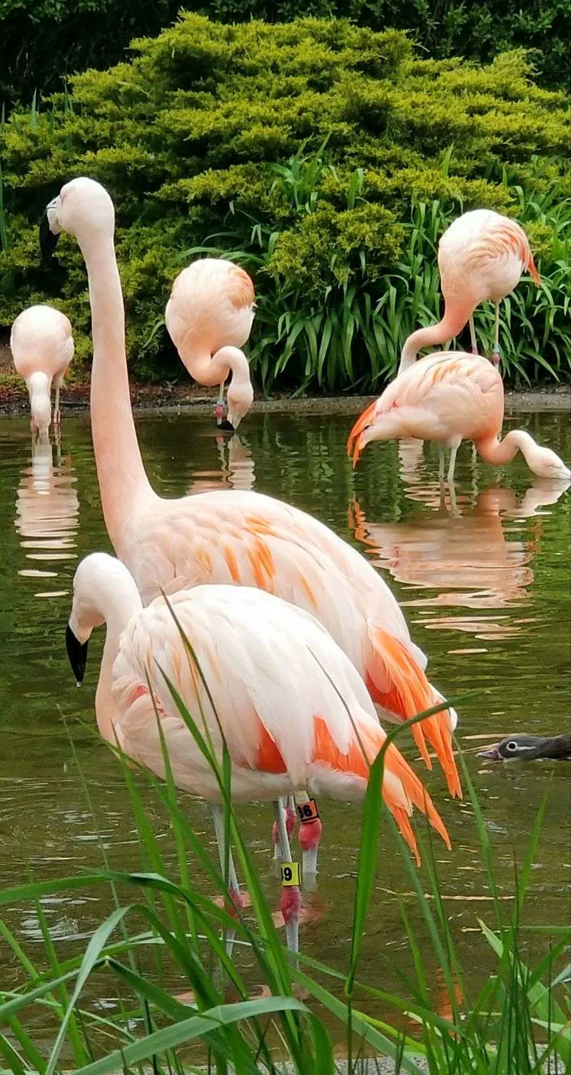 Best Time to Visit and Seasonal Tips