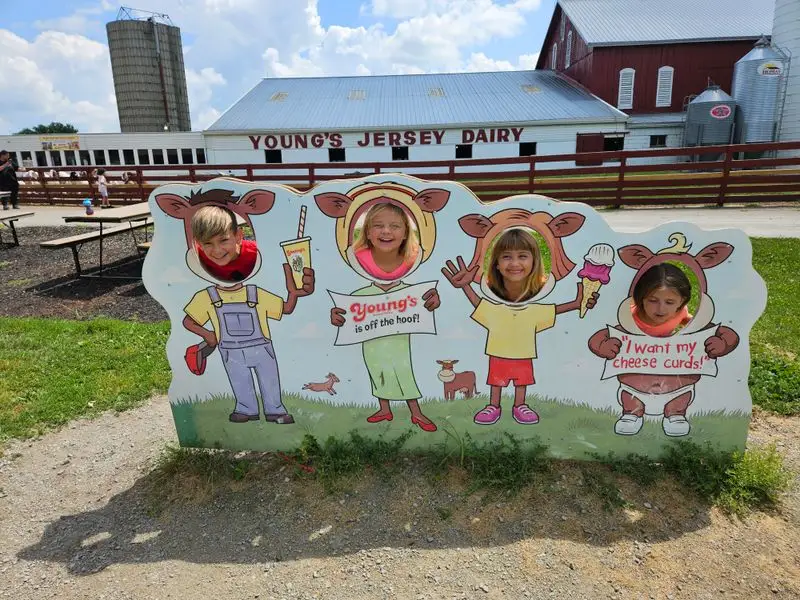 Young&rsquo;s Jersey Dairy