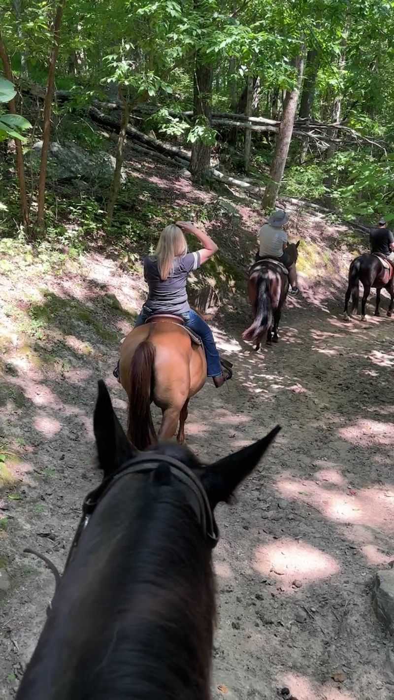 Mammoth Cave National Park &ndash; Mammoth Cave, KY