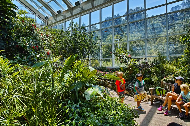 Museum of Life and Science &ndash; Durham