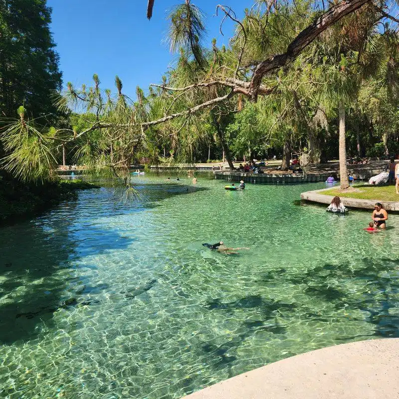 Snorkeling Opportunities