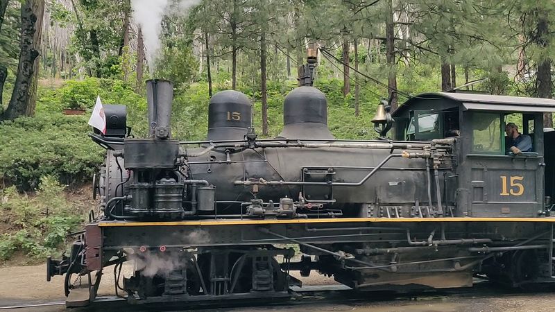 Visitor Info and Tips for Today's Traveler