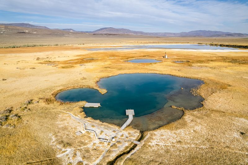 Environmental and Geothermal Context