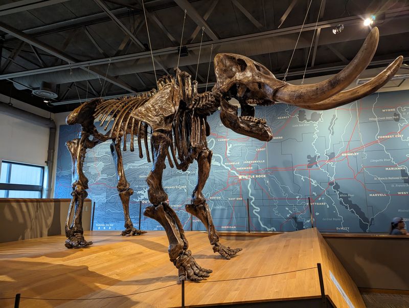 Mid-America Science Museum (Hot Springs)