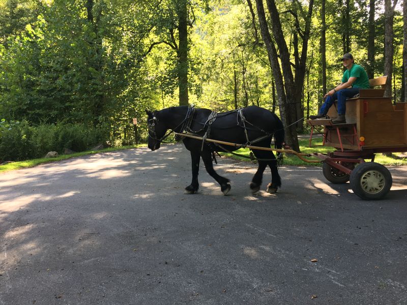 Best Season & Scenery Tips