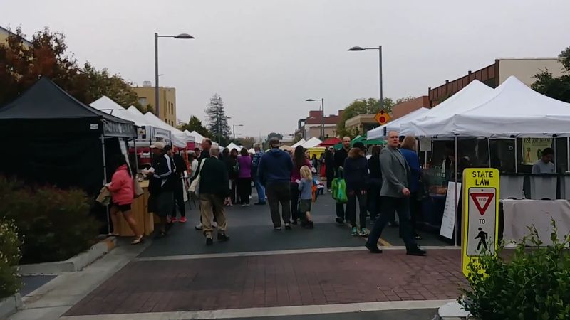 Cheese, Meats, and Picnic Fixings