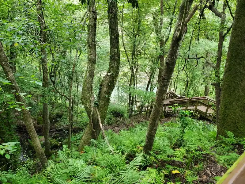 Flora and fauna: what thrives in the cool pocket