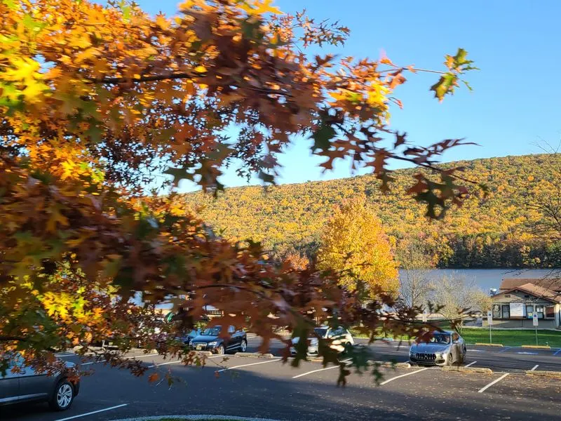 Fall Foliage Color Cruise