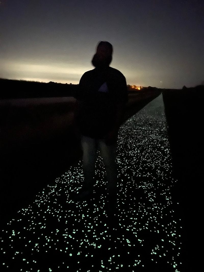 Activities You Can Enjoy: Walking, Jogging, and Nighttime Cycling