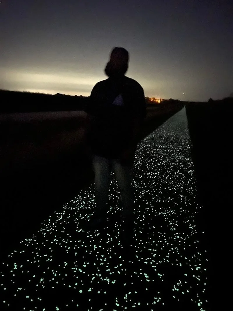 Activities You Can Enjoy: Walking, Jogging, and Nighttime Cycling