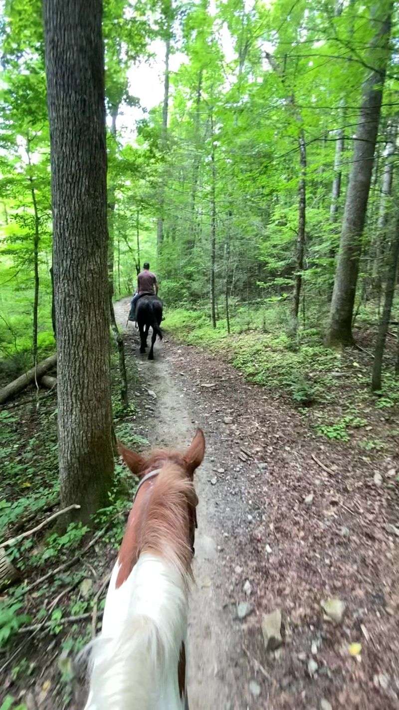 Horseback Ride Options
