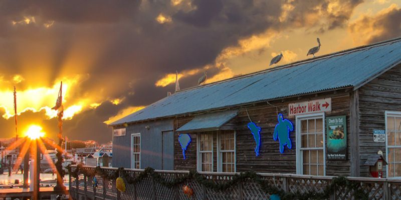 After The Visit: Reading, Walking, And Keeping The Rhythm