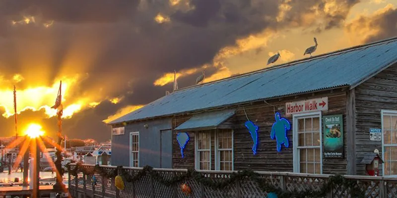 After The Visit: Reading, Walking, And Keeping The Rhythm