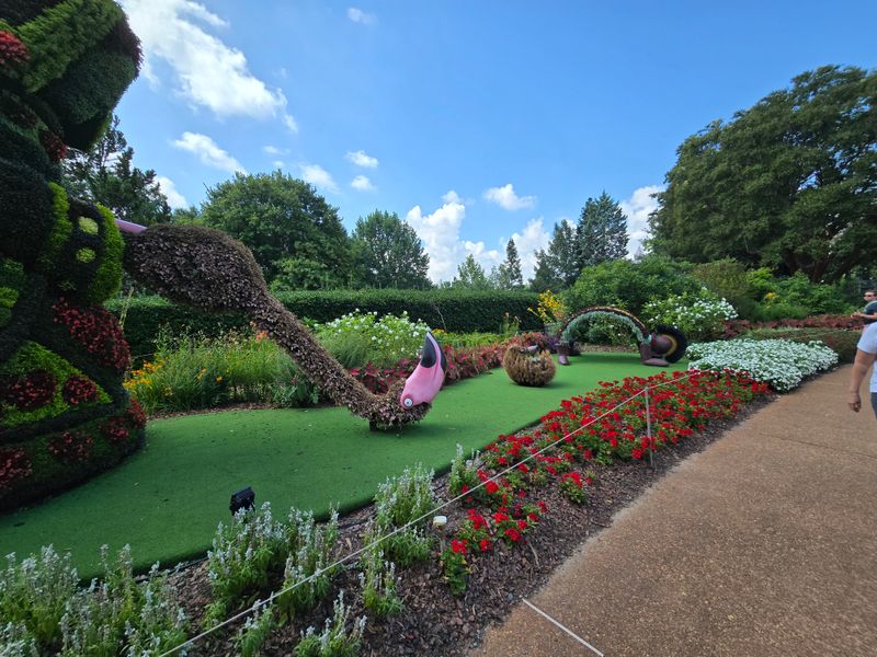 Accessibility, Navigation, and Comfort Tips