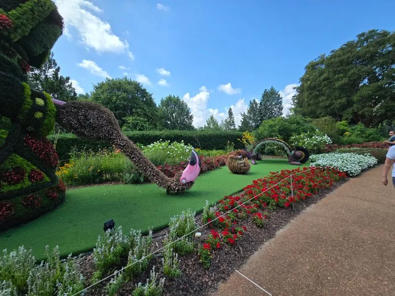 Accessibility, Navigation, and Comfort Tips