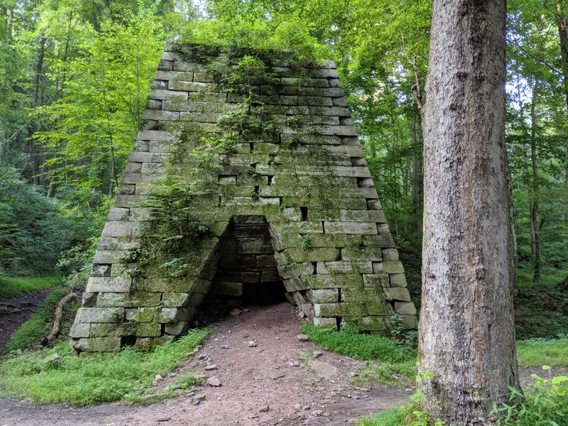 Coopers Rock State Forest