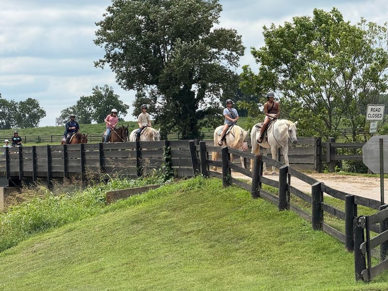Kentucky Horse Park &ndash; Lexington, KY
