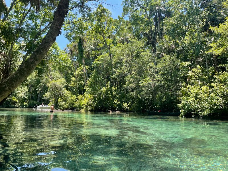 Chassahowitzka River &ndash; Citrus County, FL