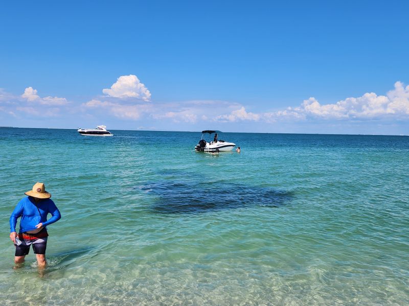 Egmont Key Ferry Connection