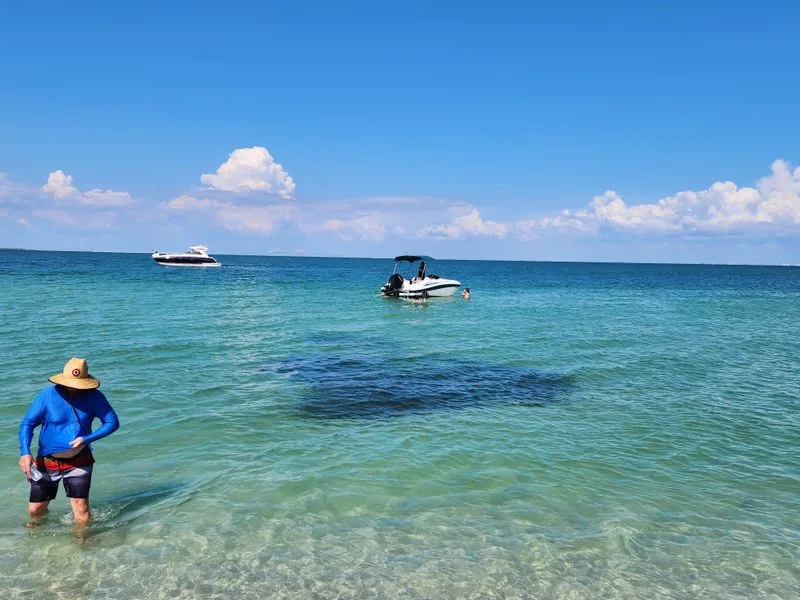 Egmont Key Ferry Connection