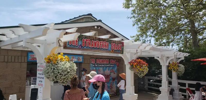 Food, treats, and nearby options