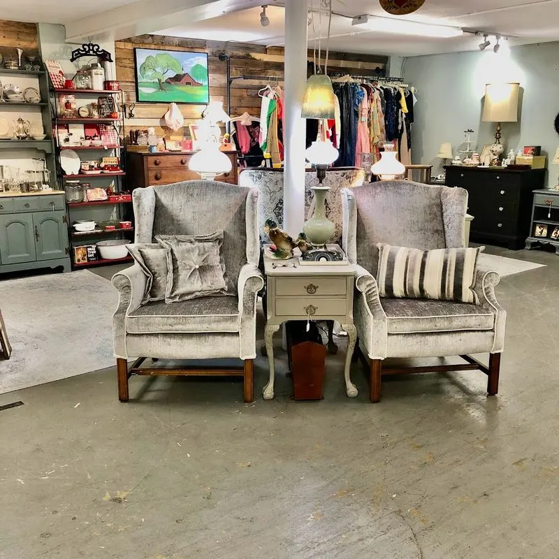 Carefully Curated Vintage Aesthetic