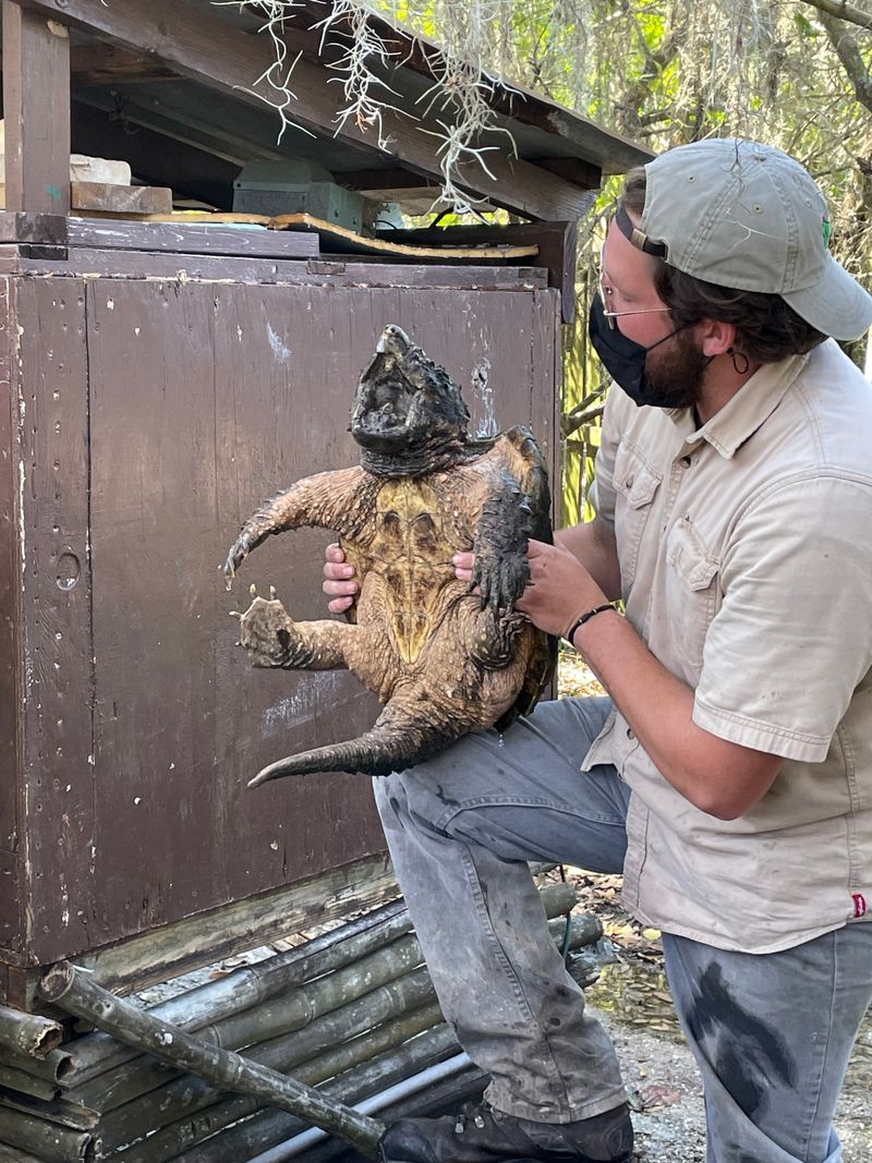 Educational Programs for All Ages