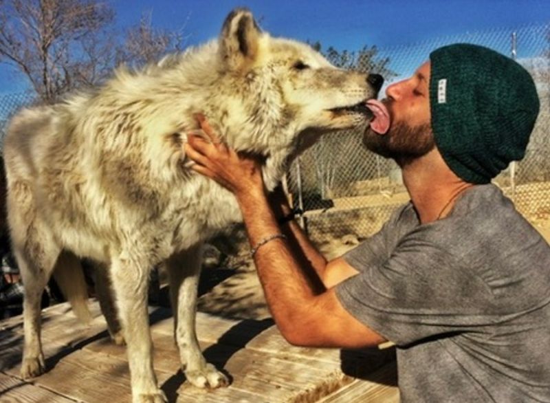 Guided Educational Tours