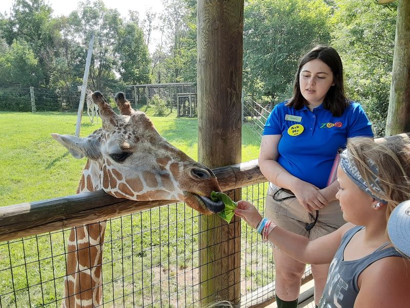 Fort Wayne Zoo &ndash; Fort Wayne, IN