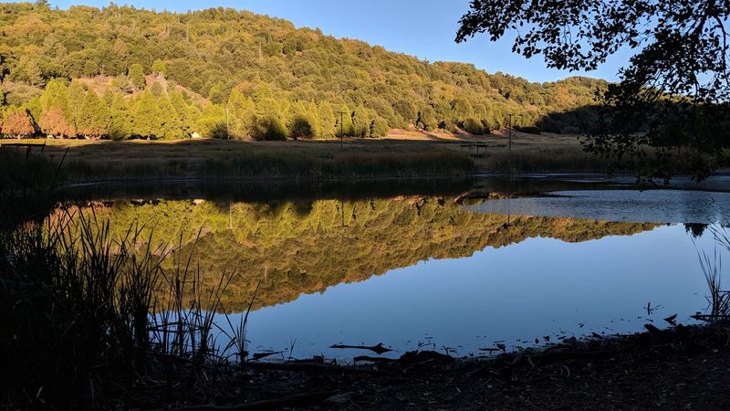 Peaceful Lakeside Moments at Doane Pond