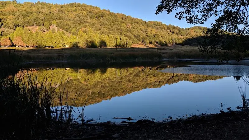 Peaceful Lakeside Moments at Doane Pond