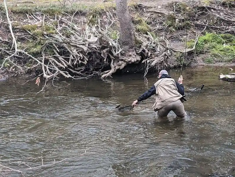 Ridley Creek Fishing Spots